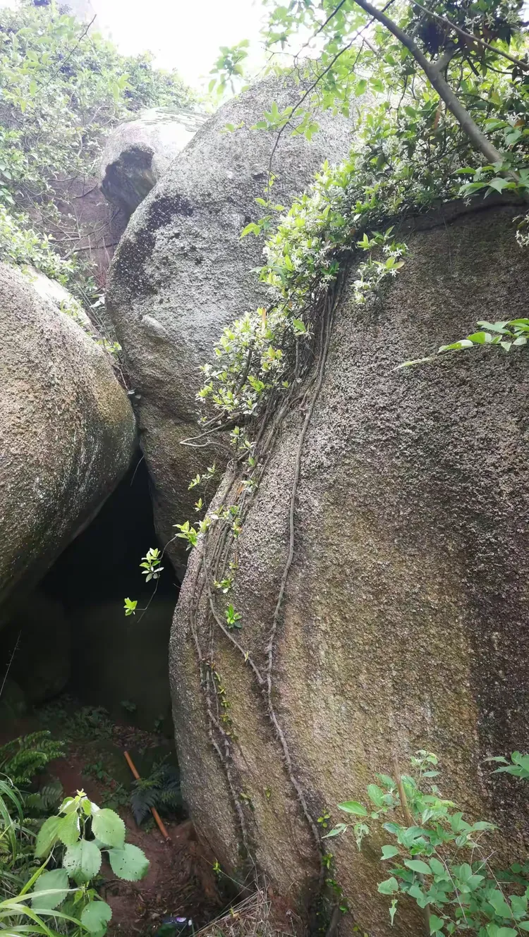 灵山石树景区图片