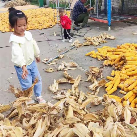 见证孩子成长，留住美好瞬间。——家长记录