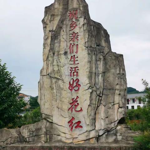 惠水好花红荷田