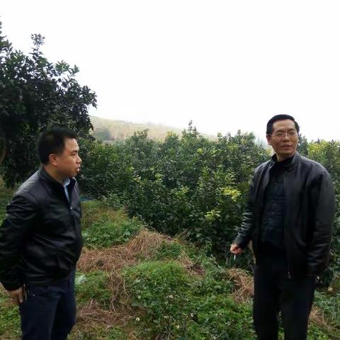 2017年终改革小康工作督查考核