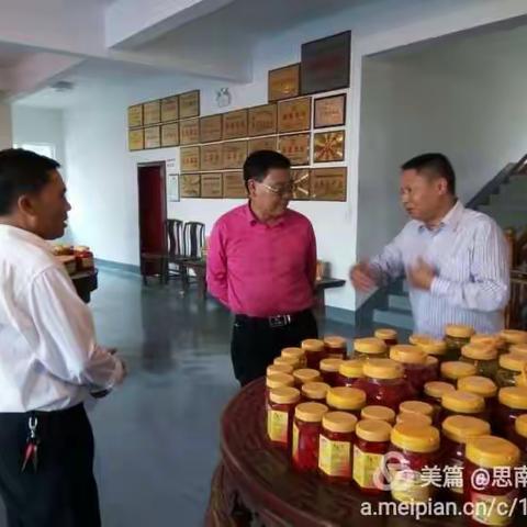 大龙开发区来思南调研规模以上企业