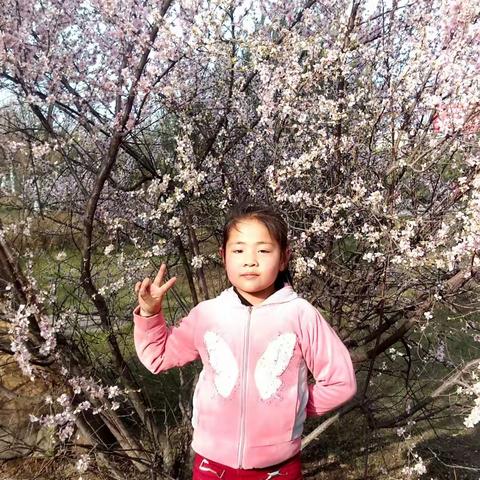 春暖花开的季节