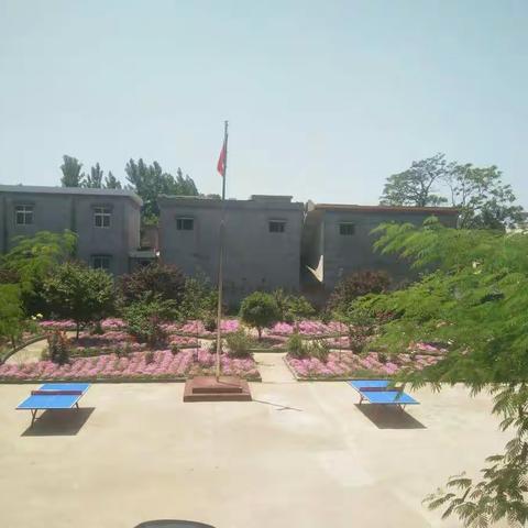 美丽庄杨、魅力庄杨