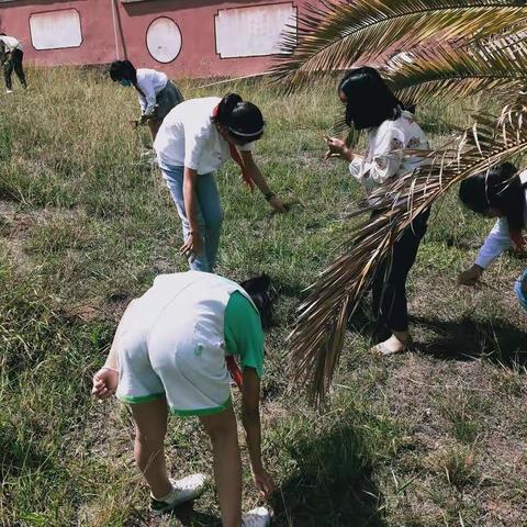 “五个一”学生劳动剪影