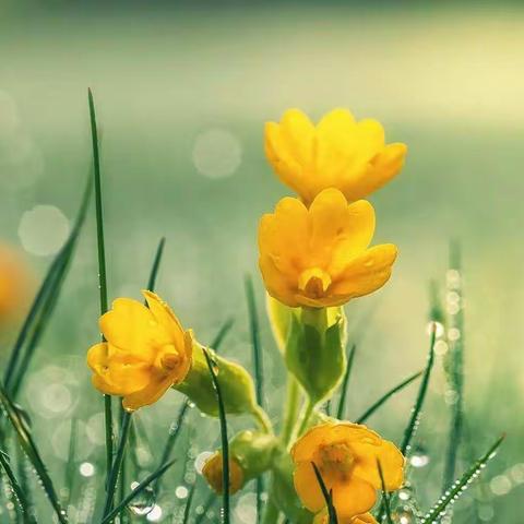 山川人文，尽在地理 ——延庆一中走进地理学科组