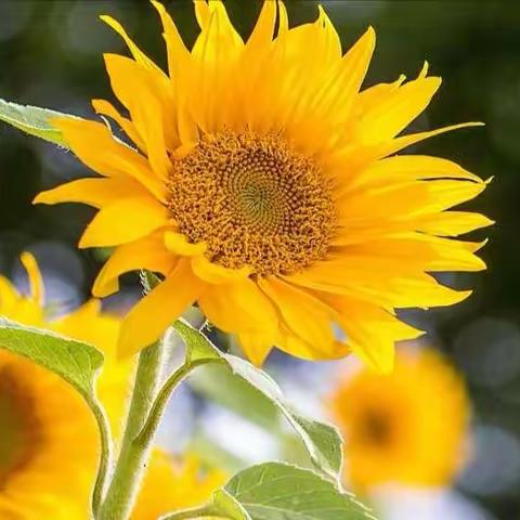 【区委办】综合二科、“三创四建”活动办、档案史志科本周工作汇总