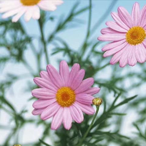 【区委办】综合二科、“三创四建”活动办、档案史志科今日工作动态