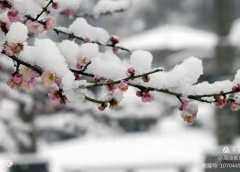 【高陵教育】高陵区何村社区幼儿园强降温雨雪天气防御指南