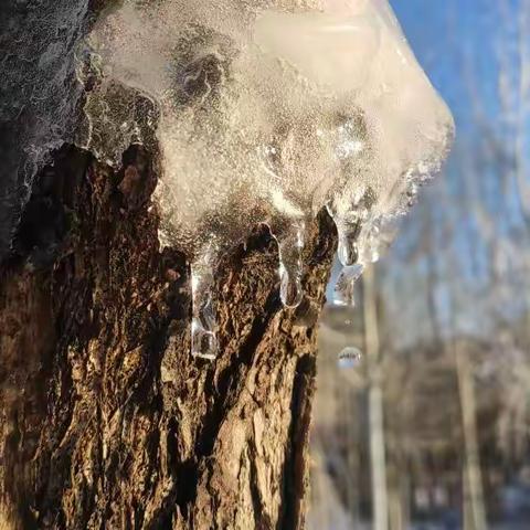 杂思