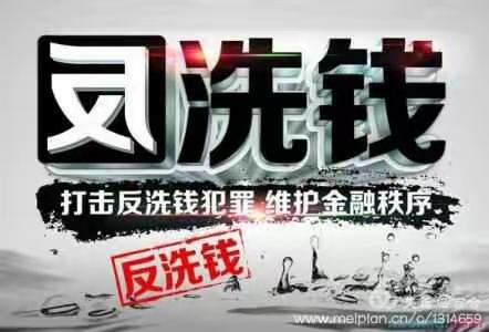 海东中心支公司反洗钱自查自纠工作(1)