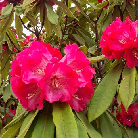 贵州旅游探亲2023.3(五)