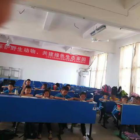 阅读让我快乐——2022年新昌学校一年级暑托第一周绘本课