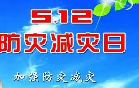 加强防灾减灾 ，构建和谐社会——王皮庙小学防灾减灾宣传活动。