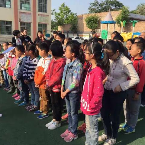 张桥小学H7N9禽流感防控工作