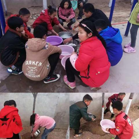 “拥抱春天，播种希望” 植树节活动进行时……