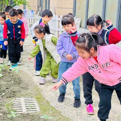 迎着朝阳盛开🌻