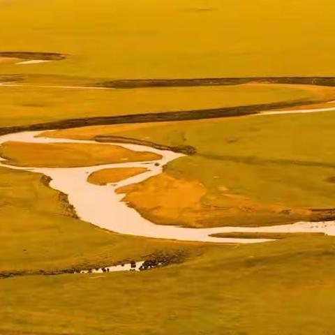 金色的呼伦贝尔