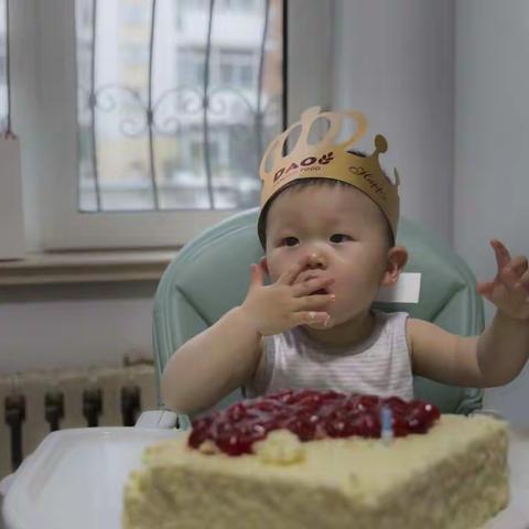 毛毛一周岁了！