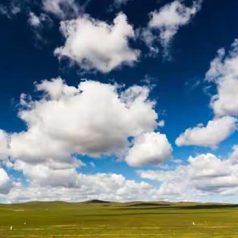 美丽的呼伦贝尔