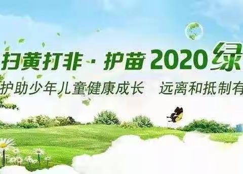 扫黄打非 护苗2020 ——横水镇翟曲学校工作纪实