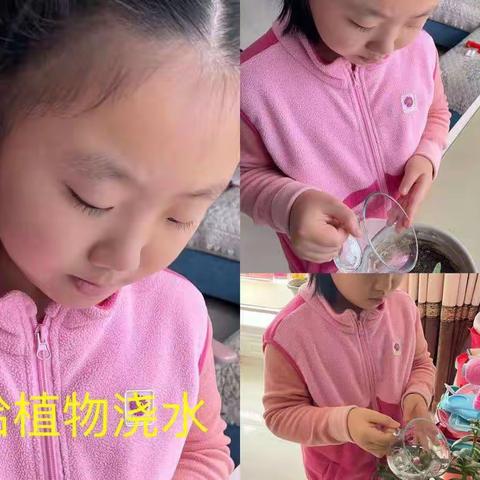 劳动促成长，居家勤实践             ——新华小学一（1）班居家劳动实践教育活动