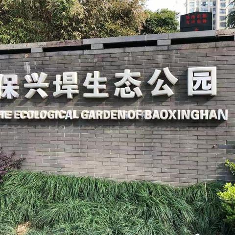 保兴垾生态公园环境调查报告（副本）