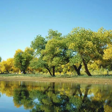 感叹在2014年的尾声之路上（谭家尧）