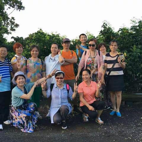 永兴黄皮垂涎滴