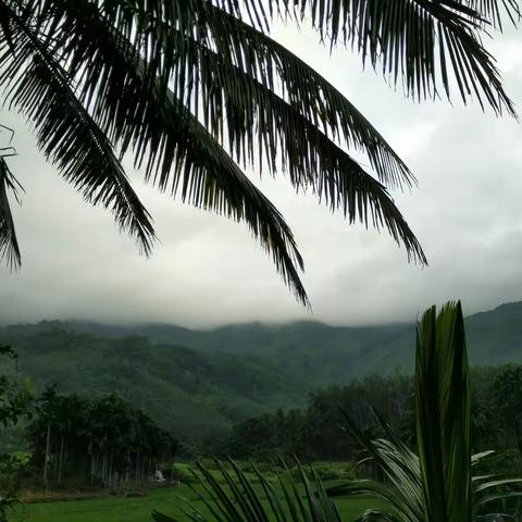 海南商业学校财会2班毕业30周年聚会纪念之三