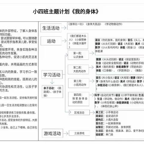 【萌芽小班】小四班11月《我的身体》主题活动总结