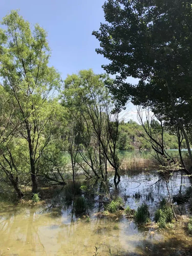 美丽的桑园坪影评