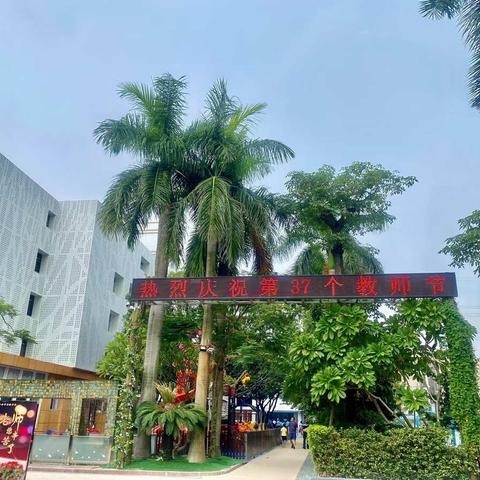 【教师节系列活动】——迎绿色教师节·实验学校附属国际幼儿园