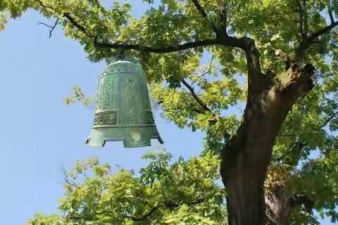 酉阳自治县实验小学校2021年寒假温馨提示