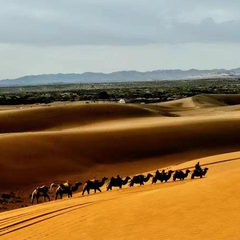 “逃离城市生活行动”——记腾格里沙漠之旅