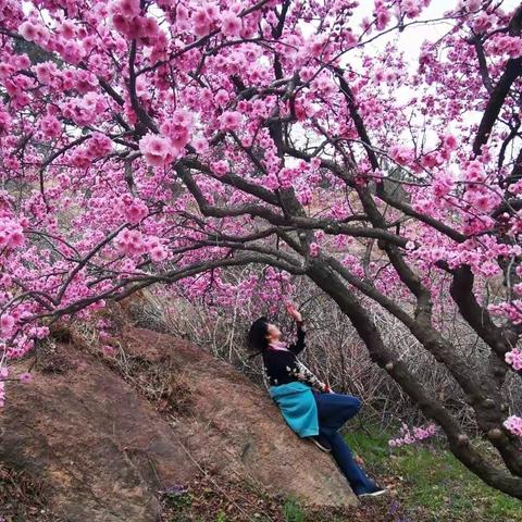 一切美好 尽在春天