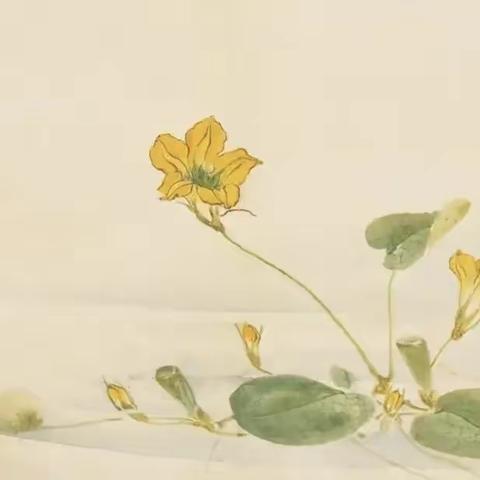 永不褪色的浪漫