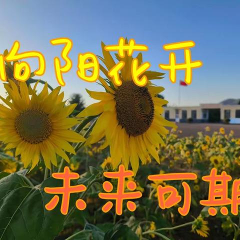 向阳花开，未来可期——合隆乡妈木林小学开学典礼