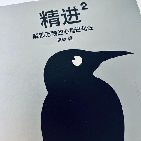 《精进2》