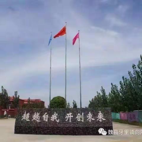 拒绝校园欺凌，共建和谐校园-----向阳小学防校园欺凌系列活动