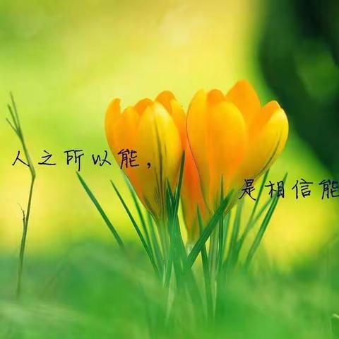 课题赋能提素养 砥砺深耕待花开——张清清名班主任工作室成员参加课题培训活动