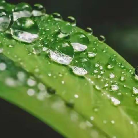 白露 | 全年昼夜温差最大的节气到了！仲秋养生注意这8招！