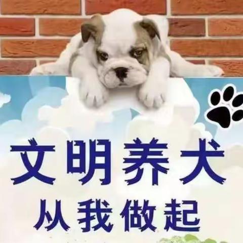 文明养犬   安全你我