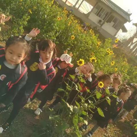 驼峰国际双语幼儿园师生“空中约会” --沟通从❤️开始