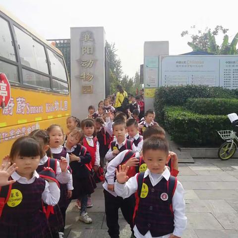 记：动物园之旅