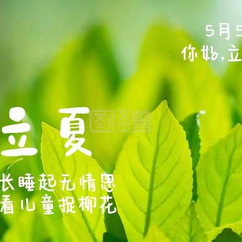 “春末夏初，沁芳如故”—润园幼儿园中班组立夏活动