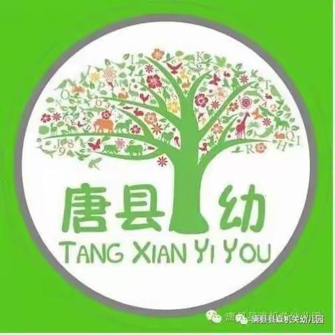云端互动  “童”样精彩——唐县县直机关幼儿园大班组居家线上系列活动（三）