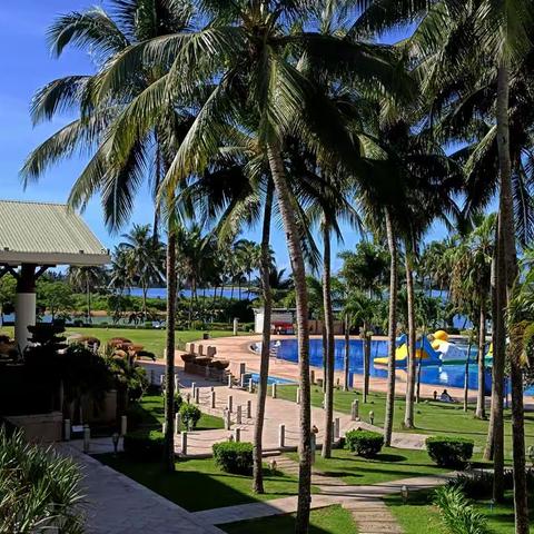 海口市军休中心组织八·一参观学习活动