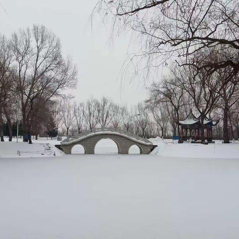 冰雪体育  快乐成长