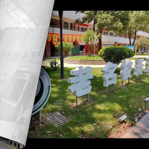 蓄能成长，永无止境——2024年粤东西北全员轮训初中英语跟岗研修活动( Day2)