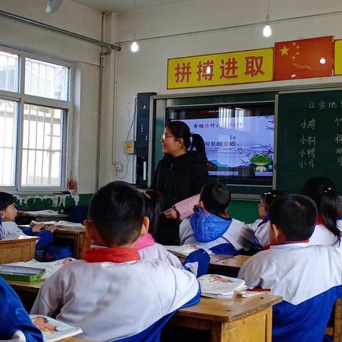 展风采，速成长--井三小学新入职教师汇报课